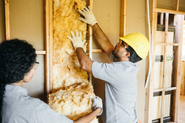 Best Crawl Space Insulation  in Brushy Creek, TX